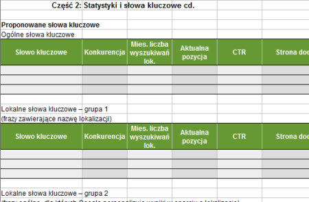 Fragment arkusza z audytów SEO