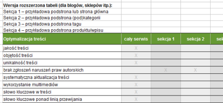 Fragment arkusza z audytów SEO