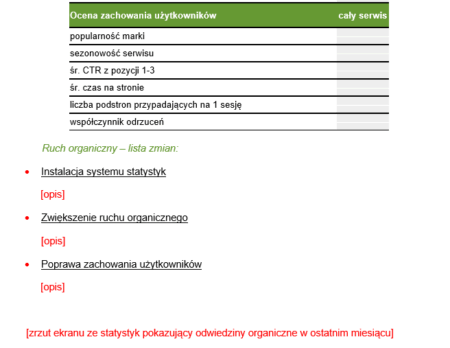 Fragment szablonu raportu do wypełnienia