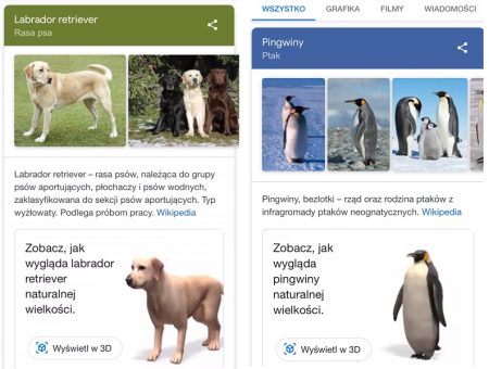 Widoki 3d w Google