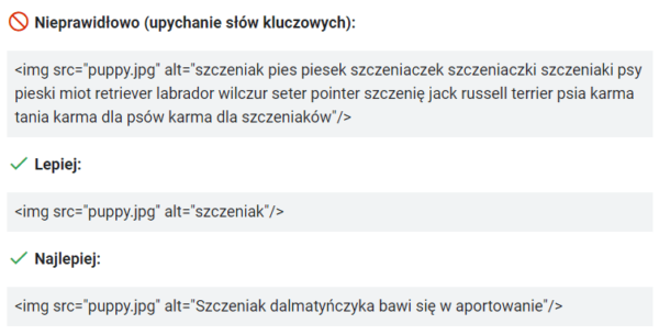 Zalecenia Google dot. opisów alternatywnych obrazków